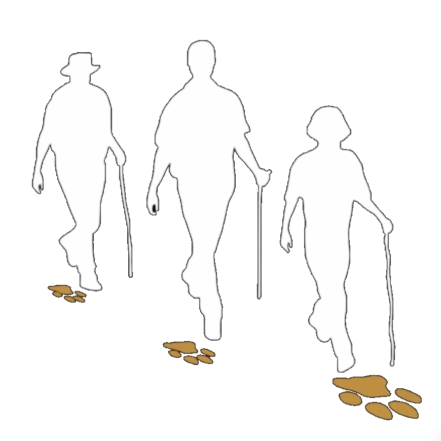Tracking Success